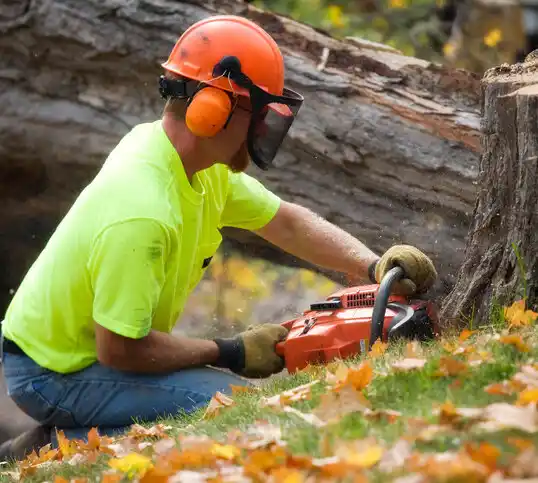 tree services Deville